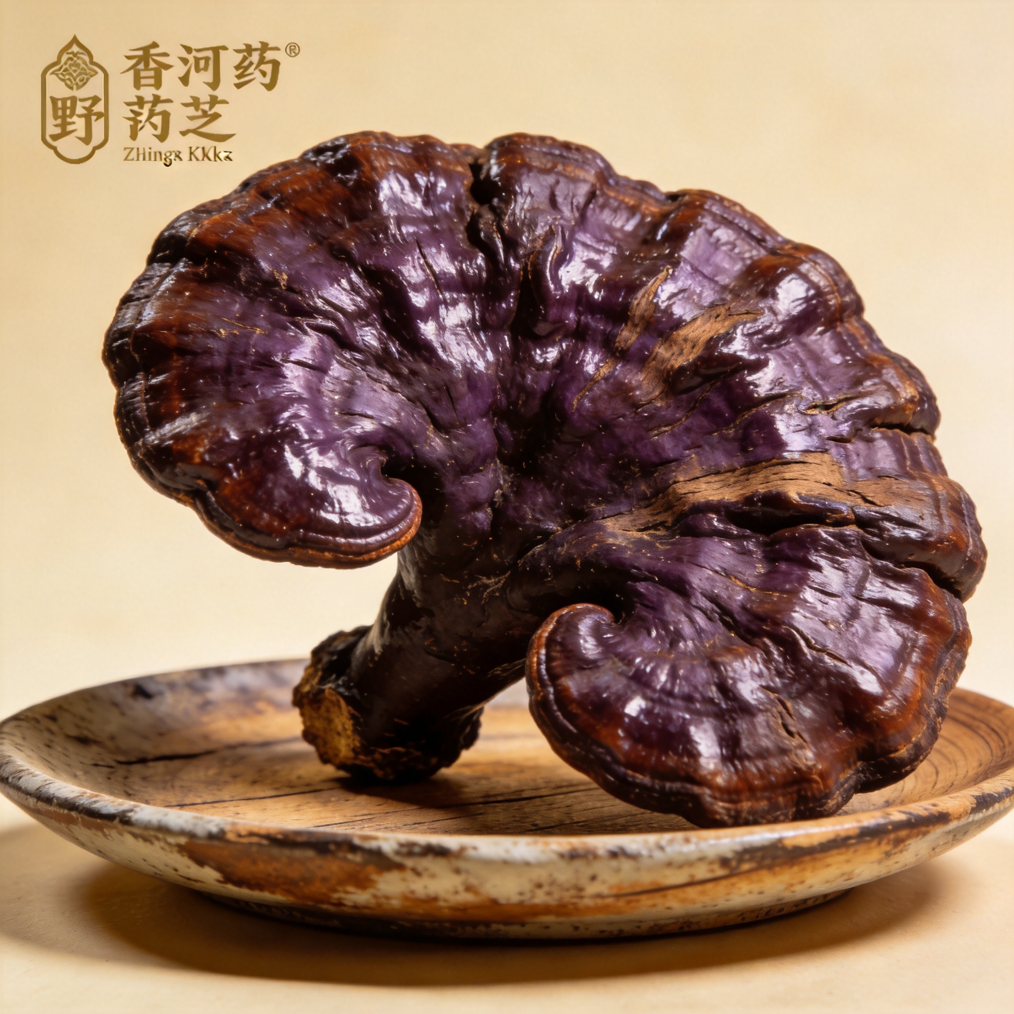 野生灵芝